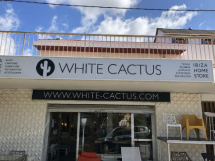 White Cactus Front